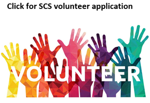 volunteer application 